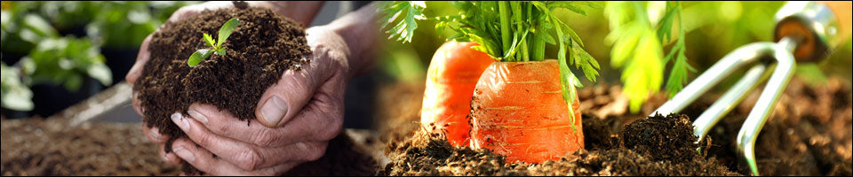 Bodenleben braucht natürliche Nahrung