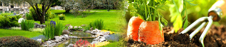 10 Gute Ratschläge für Anwender im Haus- und Kleingarten