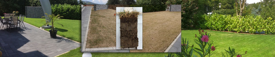 Grüner Rasen wächst nur auf gesundem Boden