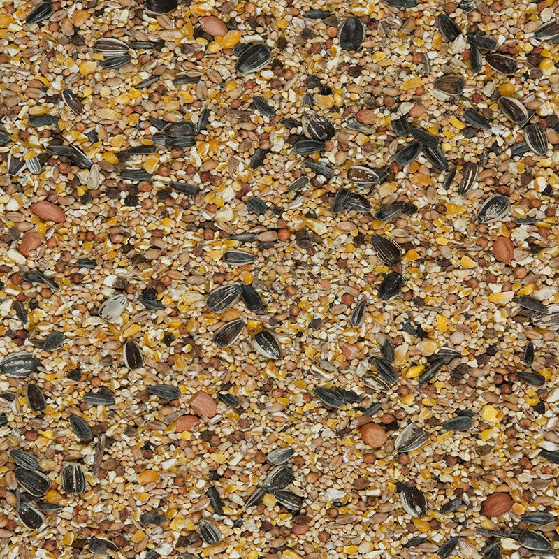 4 Seasons Blend, Ganzjahresfutter für Wildvögel