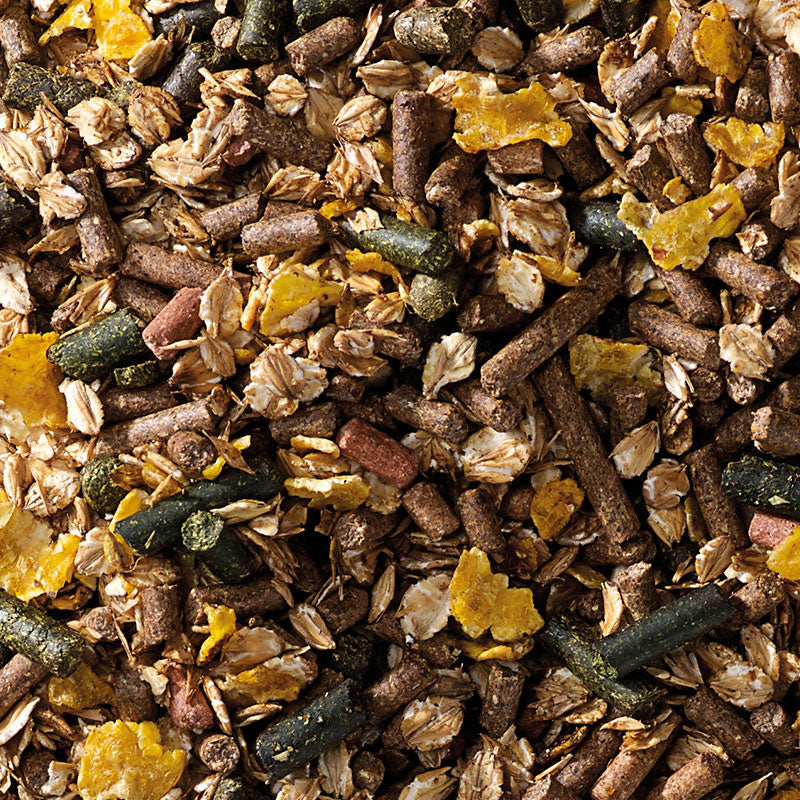 Cavalor Tradition Mix, offen