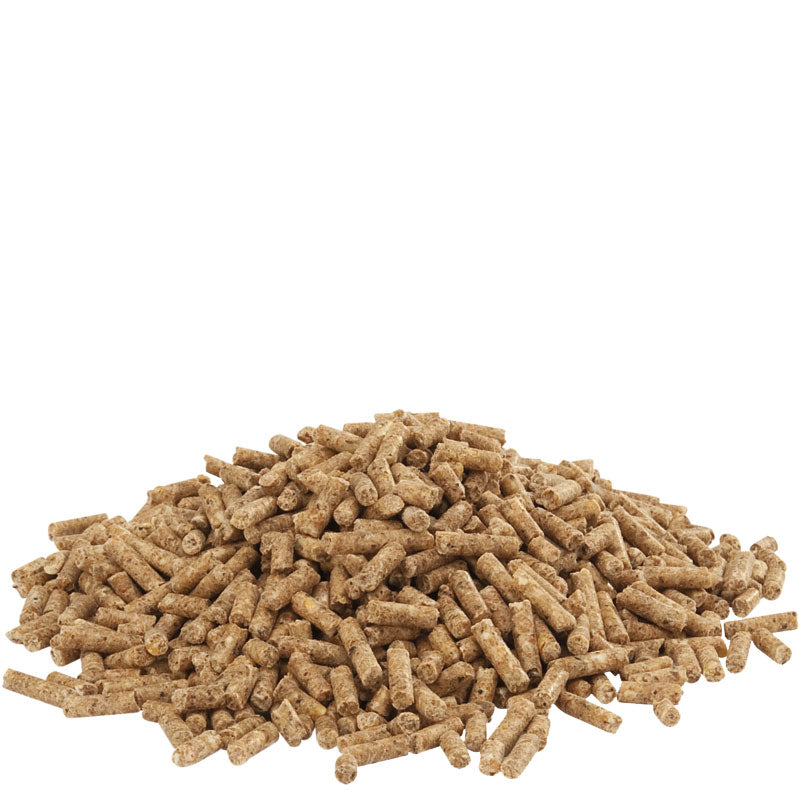 Country's Best Duck 3 Pellet Parasite Control von Versele-Laga, 20kg