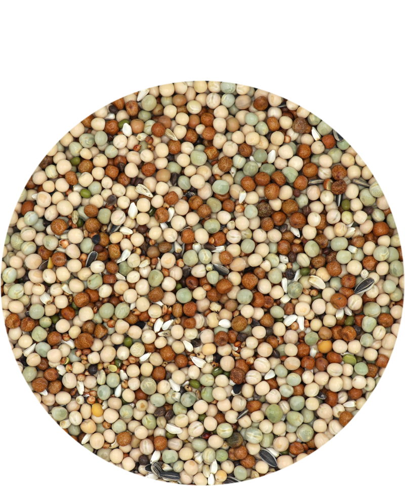 Country's Best Gra-Mix Tauben Basic