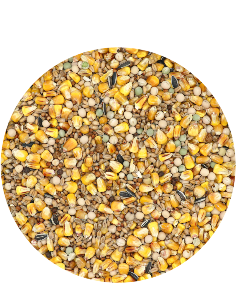 Country's Best Gra-Mix Tauben Zucht Eco