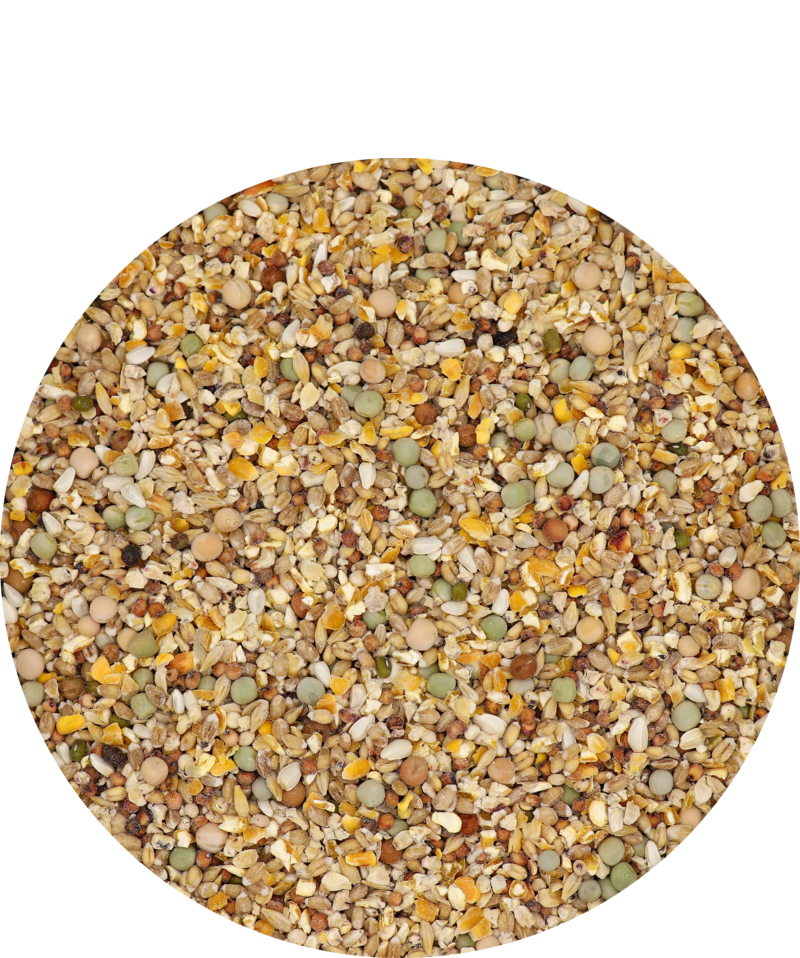 Country's Best Gra-Mix Tauben