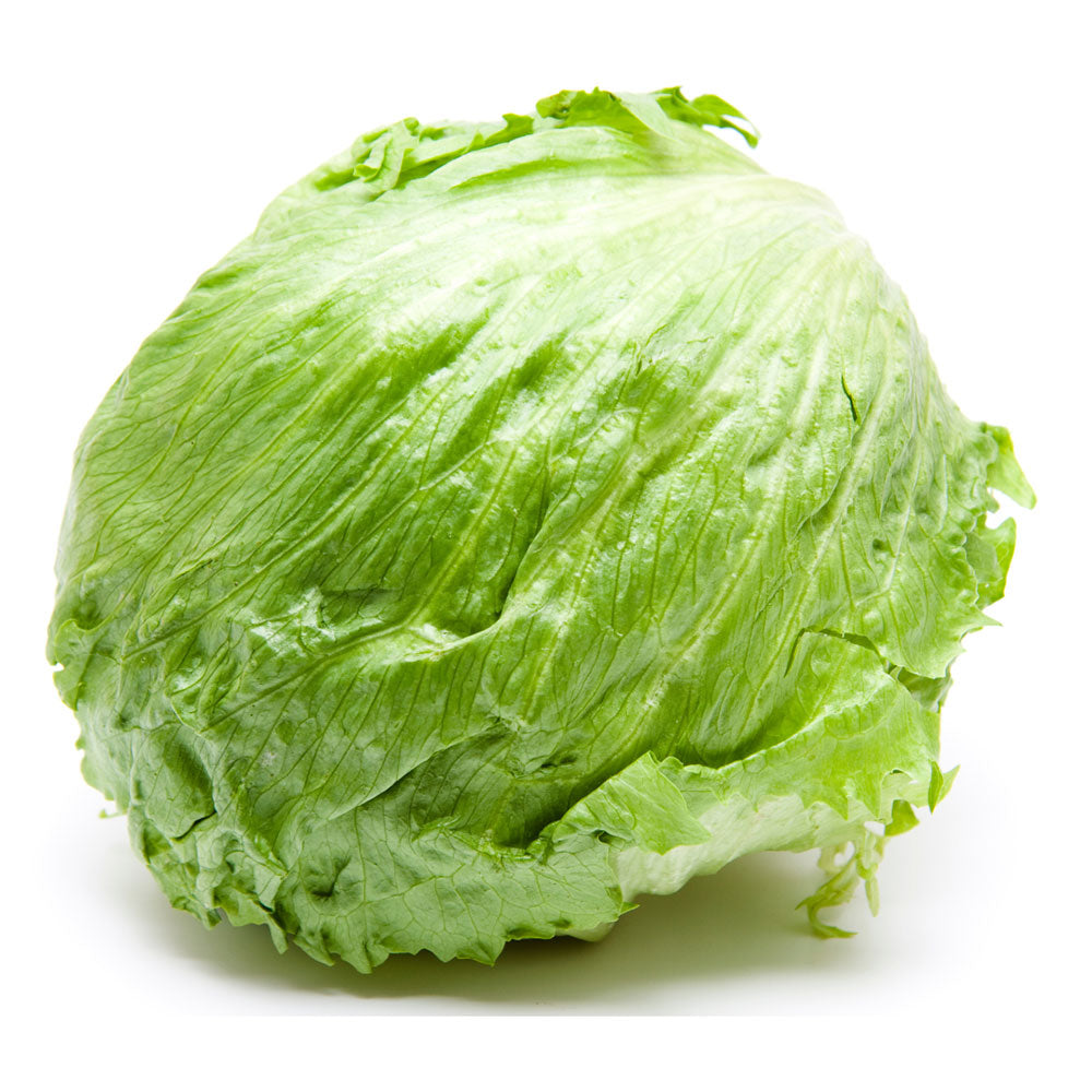 Frischer Eisbergsalat online kaufen