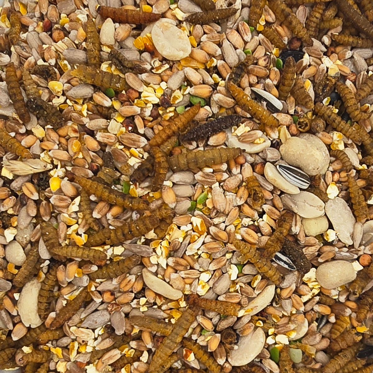 Gartenvogelfutter Classic mit Insekten, 10kg