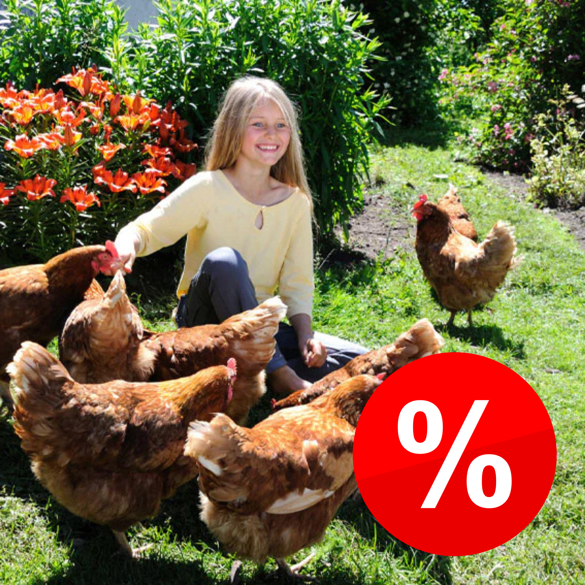 Geflügelbedarf Angebote