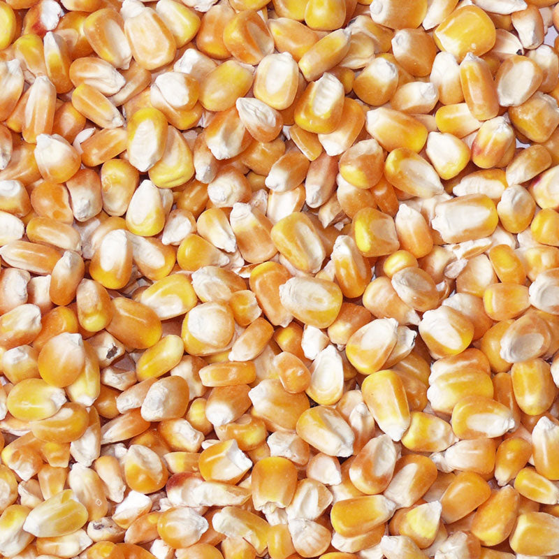 Havens Mais, Cribs, gereinigt, lose