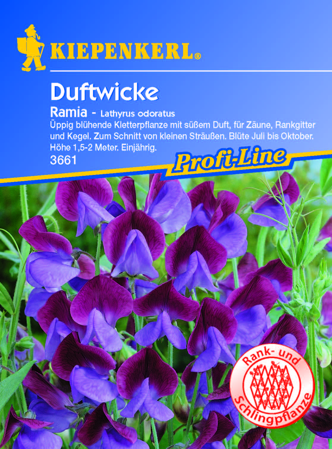 Kiepenkerl Duftwicke Ramia