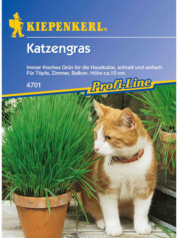Kiepenkerl Katzengras