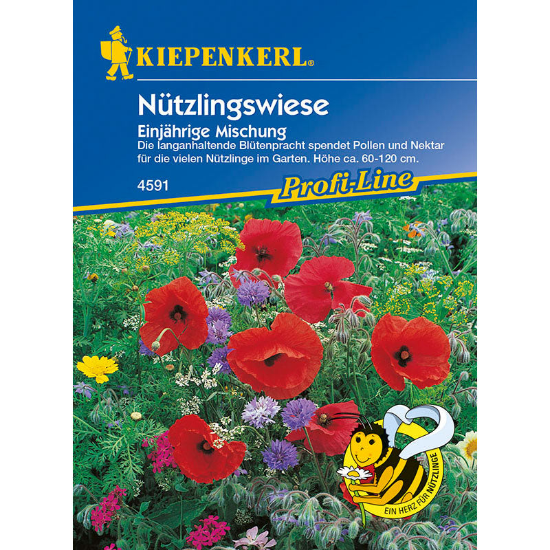 Kiepenkerl Nützlingswiese, einjährig