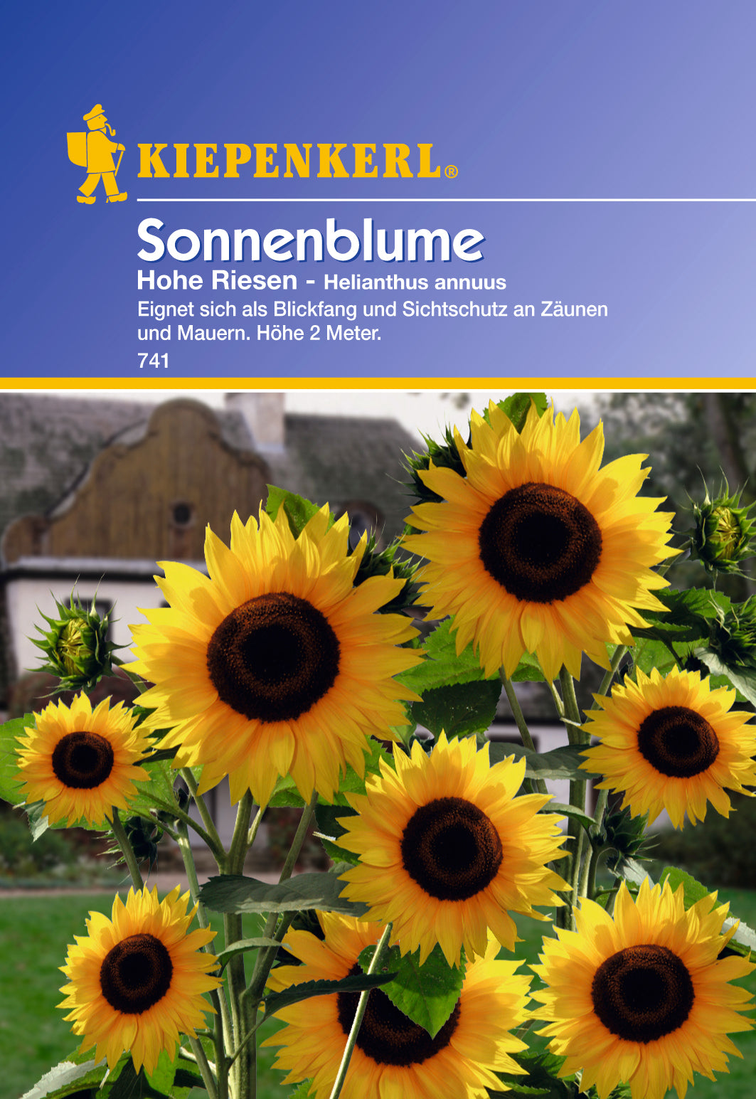 Kiepenkerl Sonnenblume Hohe Riesen