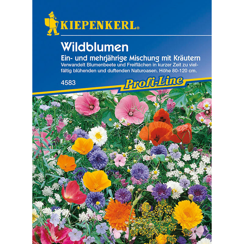 Kiepenkerl Wildblumen Mischung mit Kräutern, Megapack