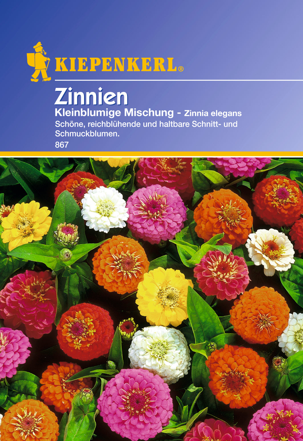 Kiepenkerl Zinnia elegans (Zinnie) kleinblumige Mischung