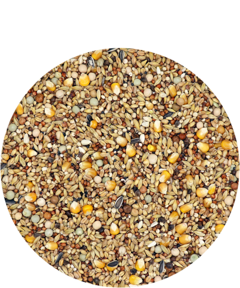 Mariman Standard Mauser offen