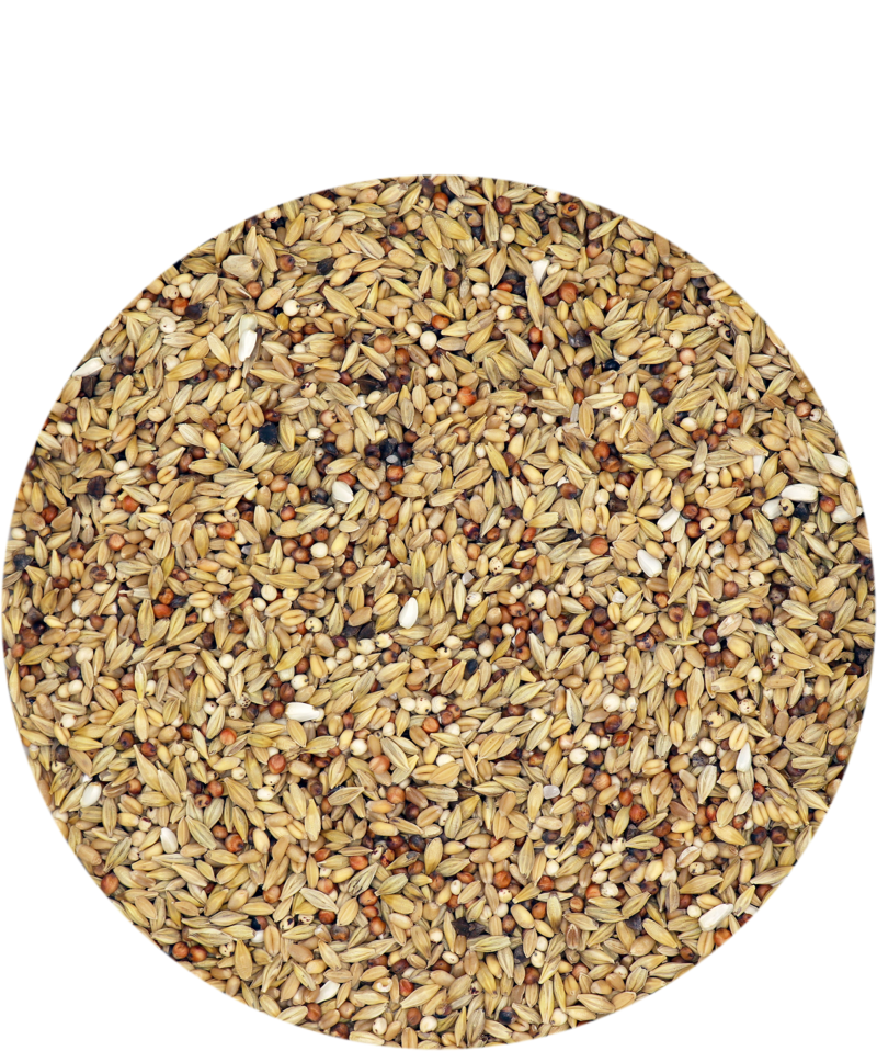 Mariman Standard 4 Jahreszeiten 25kg