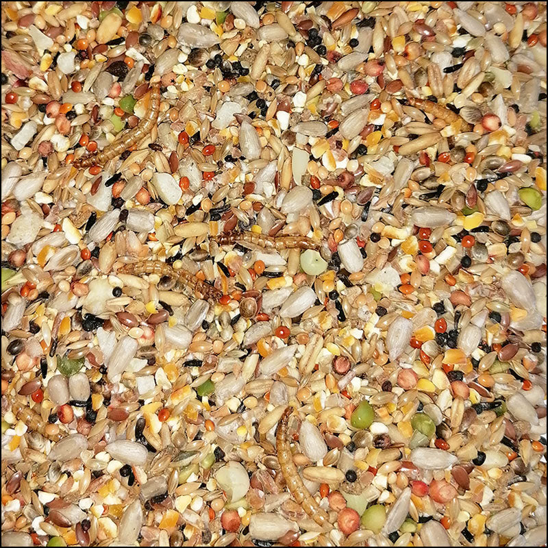 My Bird Feine Körnerwintermischung mit Insekten