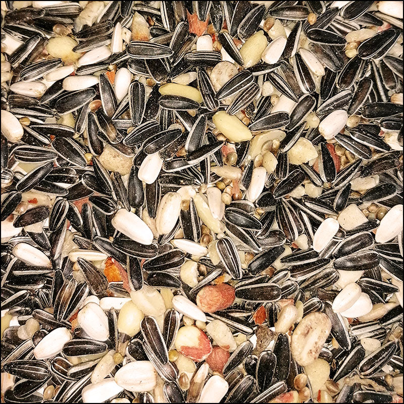 My Bird Meisenfutter Mix Brilliant, getreidefrei