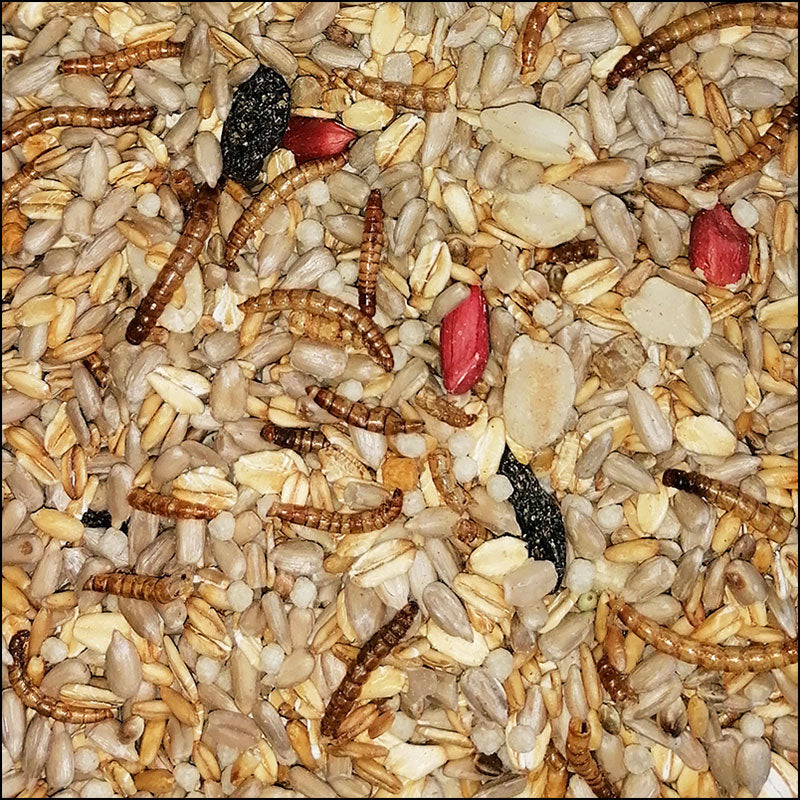 My Bird Sommerlenz, Leicht-Mix mit Mehlwürmern