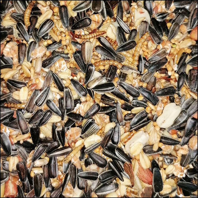 My Bird Winterstreu Deluxe, mit Mehlwürmern