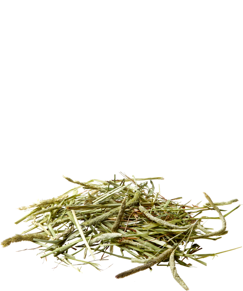 Nature Timothy Hay, offen