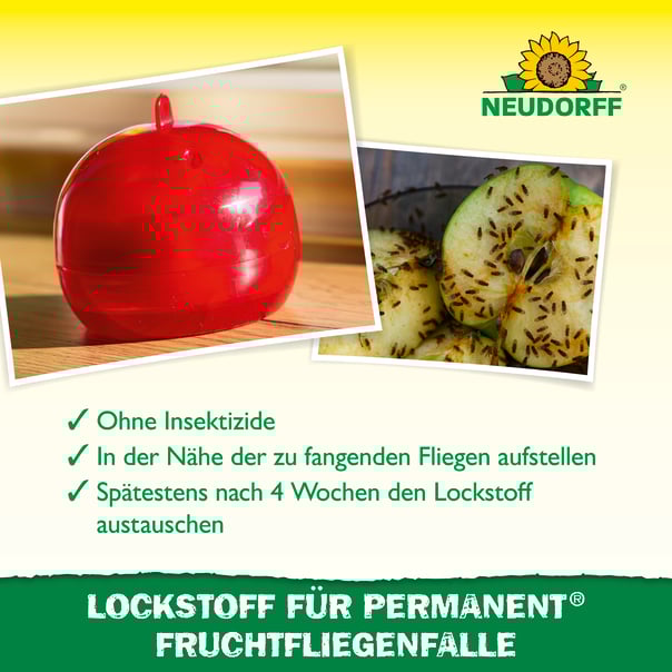 Neudorff Lockstoff für Permanent FruchtfliegenFalle Beschreibung 2
