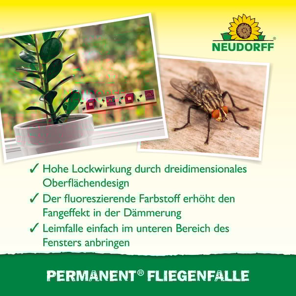 Neudorff Permanent FliegenFalle, 4 Stück Beschreibung 2