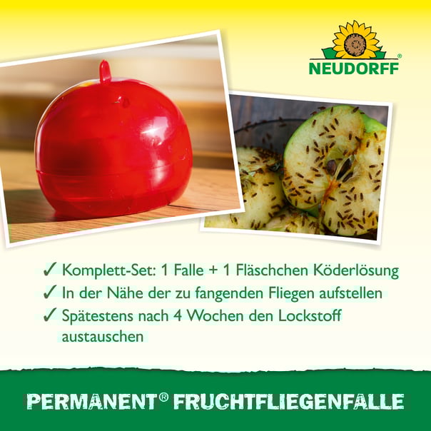 Neudorff Permanent FruchtfliegenFalle Beschreibung 2