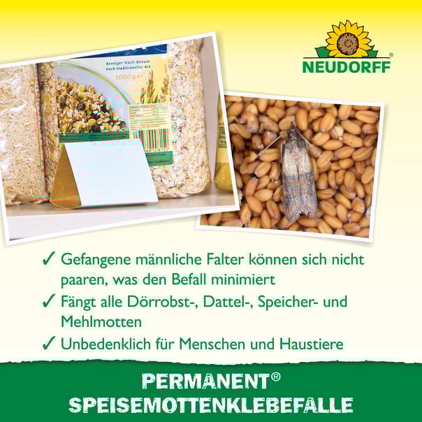 Neudorff Permanent SpeisemottenKlebefalle, 3 Stück Beschreibung 2