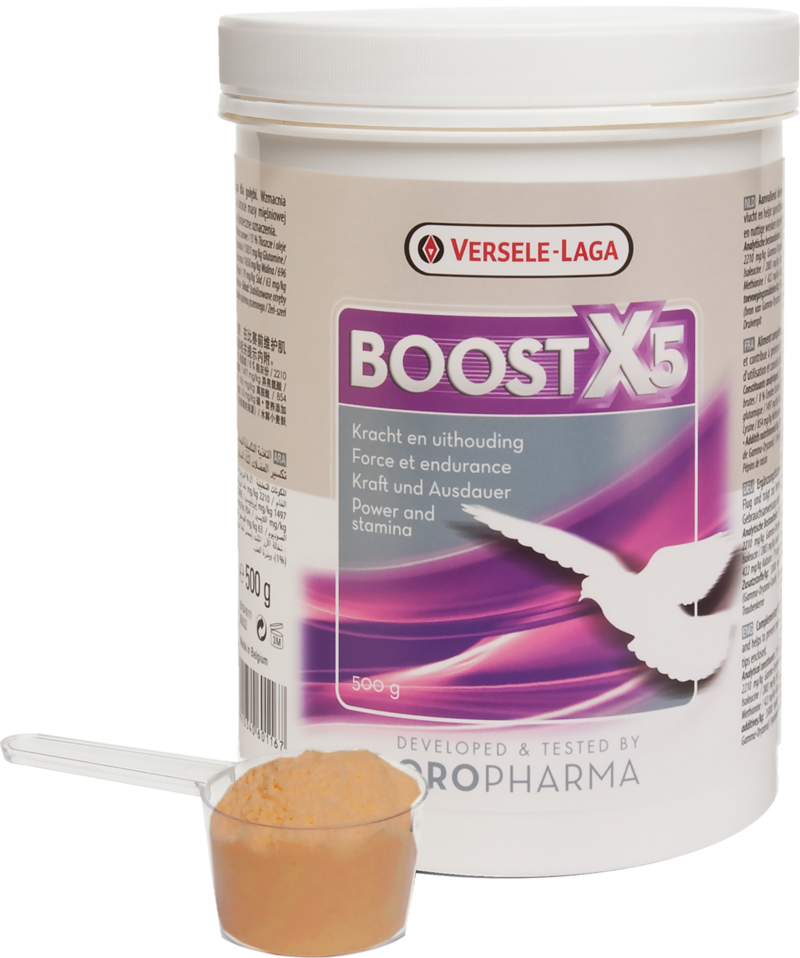 Oropharma Boost X5, 500g
