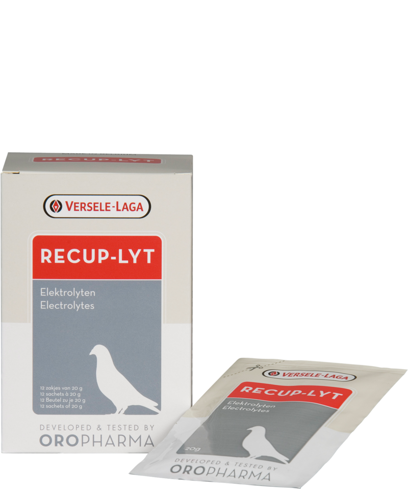 Oropharma Recup-Lyt, 240g