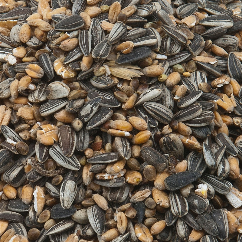 Pfiffikus Streufutter 25 kg