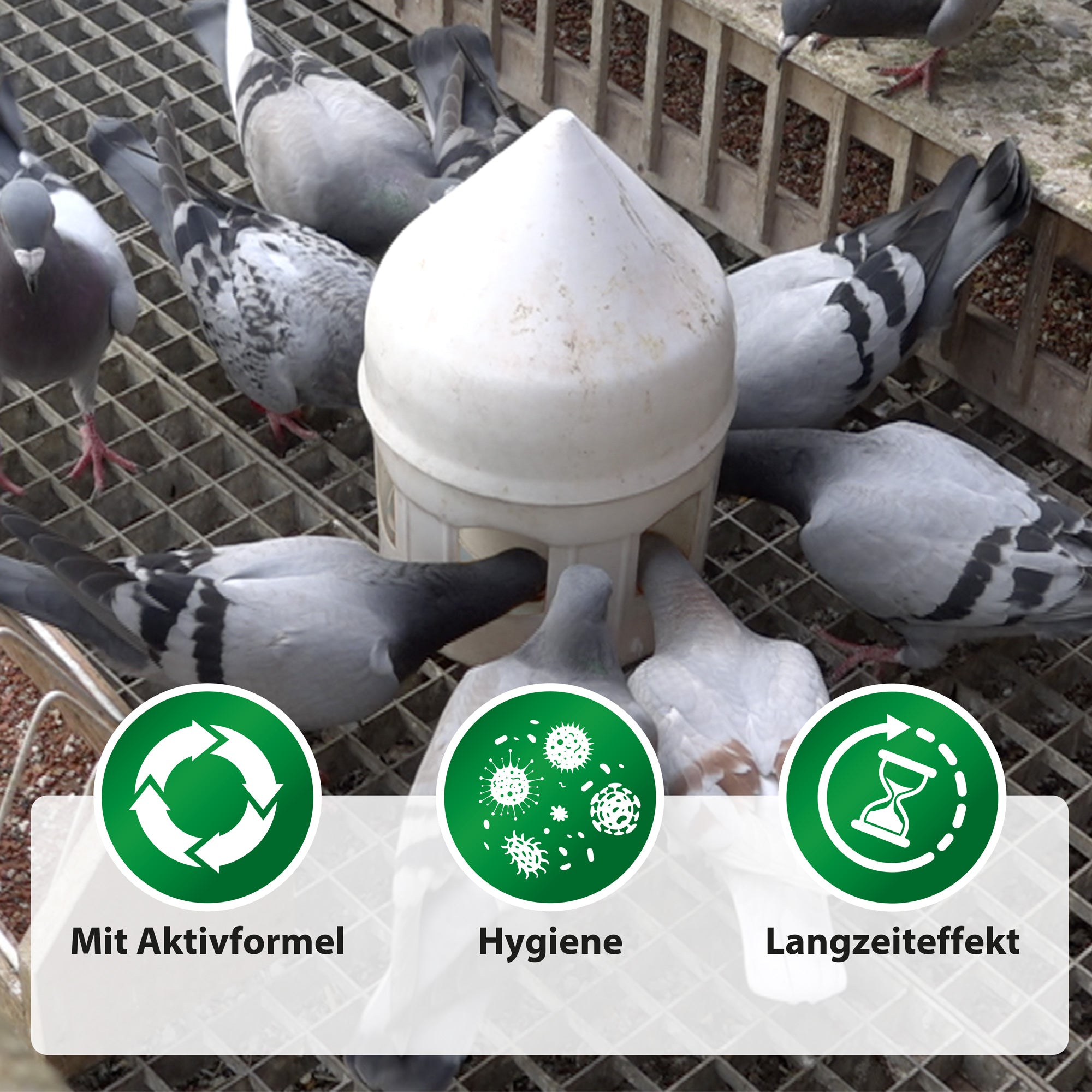 Röhnfried Avidress Plus, Anwendung