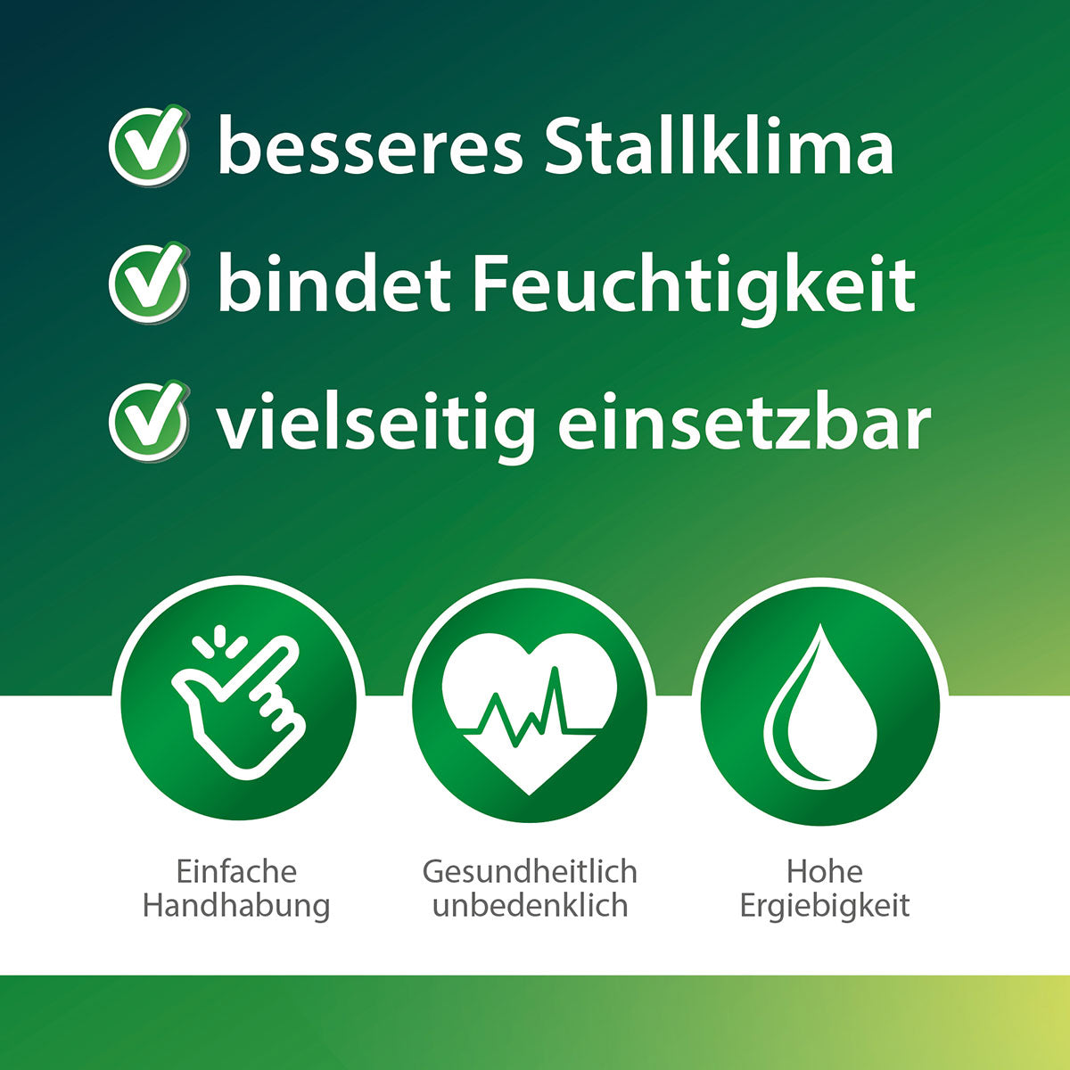 Röhnfried Kieselgur PUR, Beschreibung