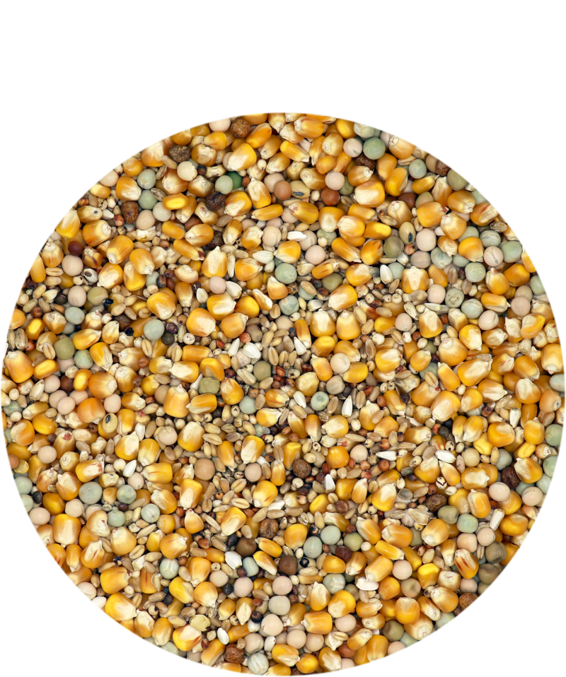 Versele-Laga Classic Zucht & Reise