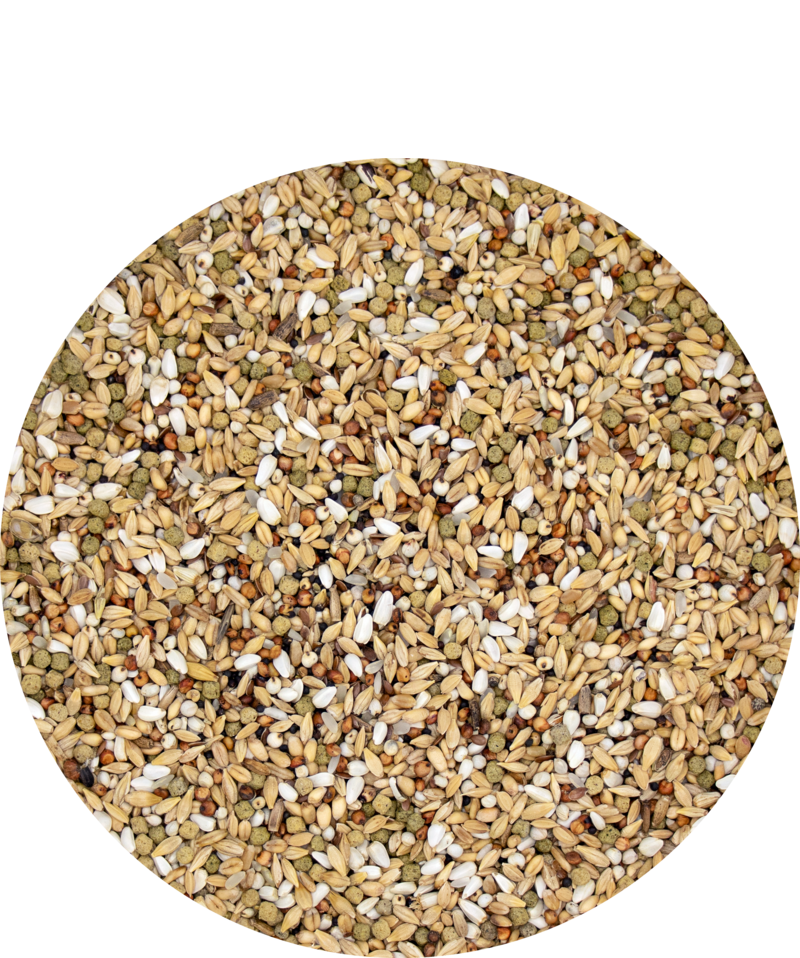 Versele-Laga Plus Depure