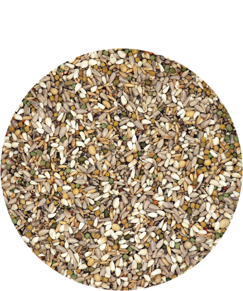 Versele-Laga Plus Energy