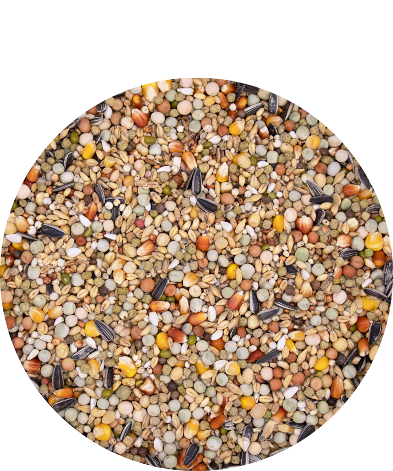 Versele-Laga Plus Mutine