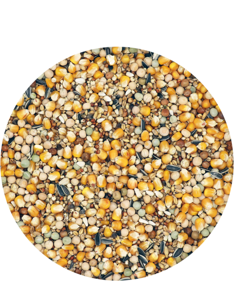 Versele-Laga Standard Zucht & Reise ohne Gerste, offen