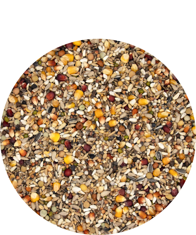 Versele-Laga Traditional Premium Racing Special Mix