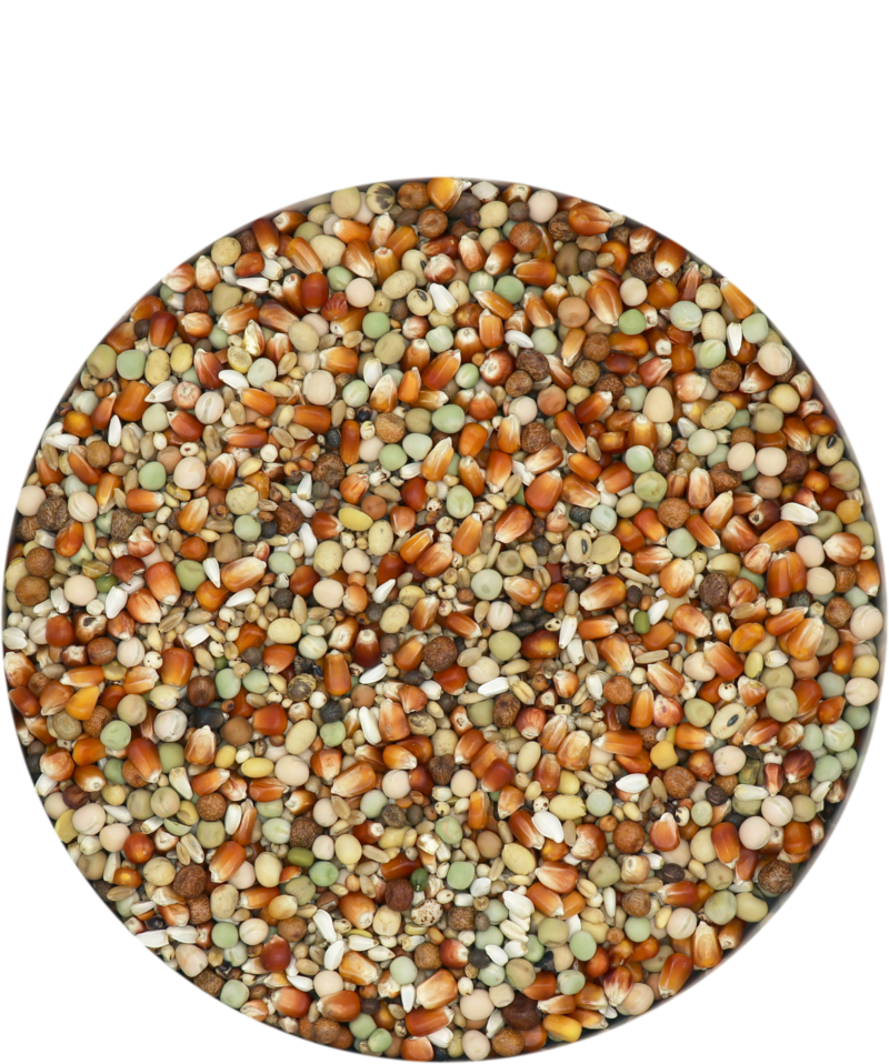 Versele-Laga Zucht Subliem