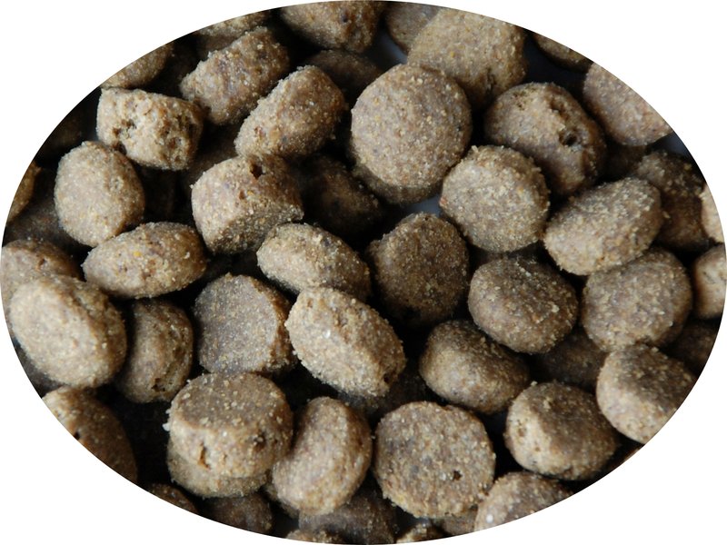 Caldor Puppy & Junior maxi, 15kg