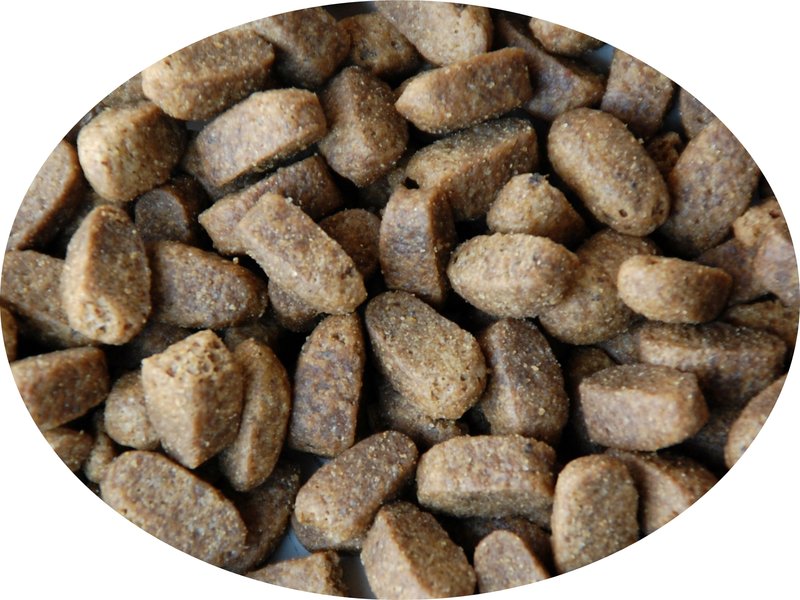 Caldor Maintenance Truthahn & Reis, 15kg