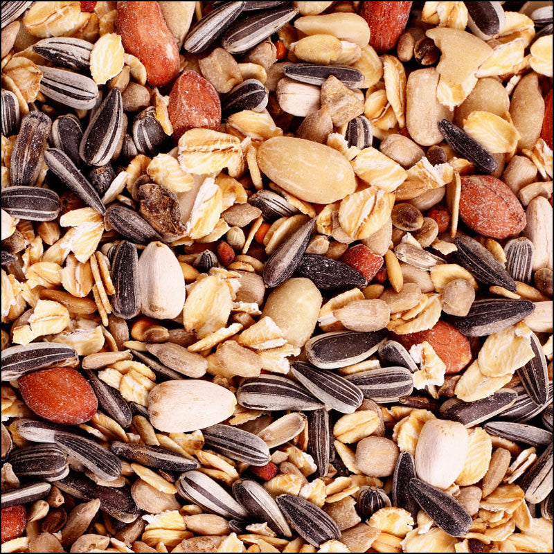 Wildvogelfutter Ganzjahresfutter