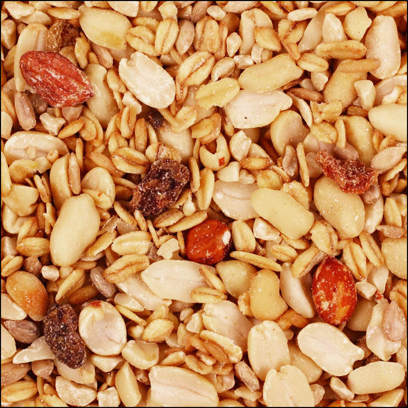 Premium Vogelmüsli schalenlos