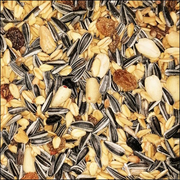 Hofmax Wintervogelfutter, Premium Meisenfutter, 20kg