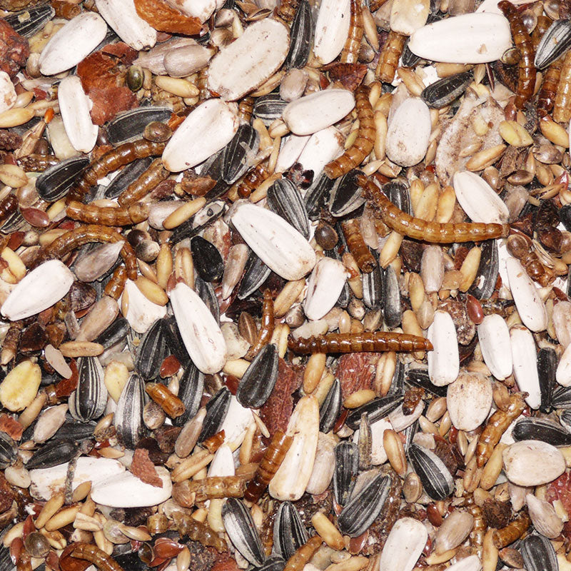 Vogel Gourmet Dinner im Eimer, 3kg