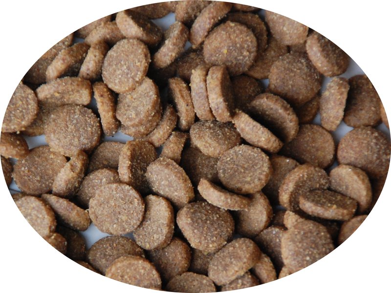 Stratmanns Jagdhunde Junior, 15kg