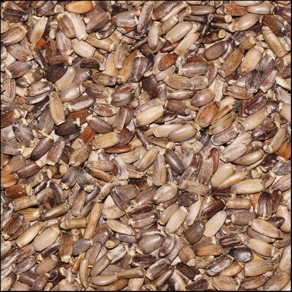 Mariendistelsaat, Distelsamen